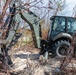 NMCB 1 Sailors clear an area with chainsaws and a backhoe