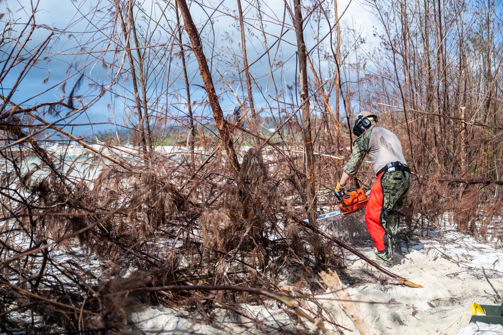 NMCB 1 Sailors clear an area with chainsaws and a backhoe