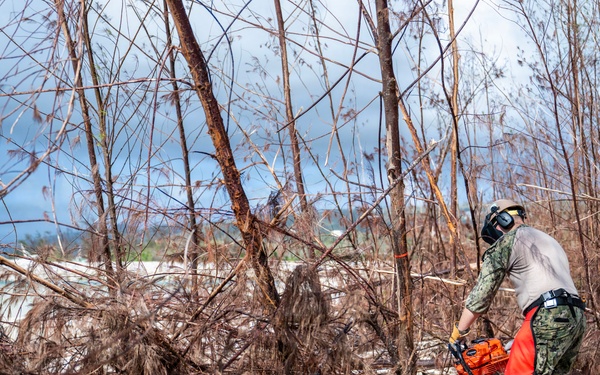 NMCB 1 Sailors clear an area with chainsaws and a backhoe