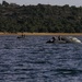NATO SOF descend from the sky