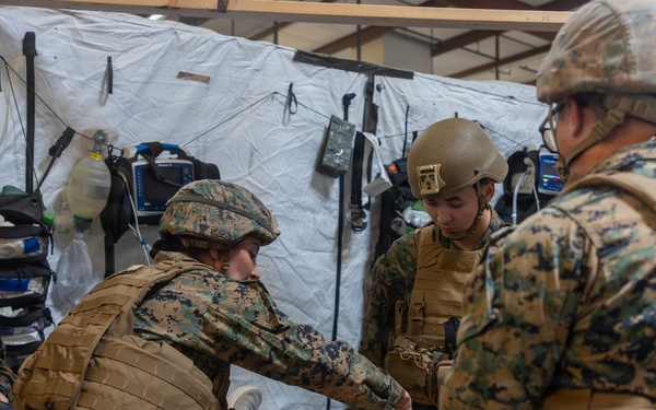 Tactical Triage: 1st Medical Battalion conducts certification exercise