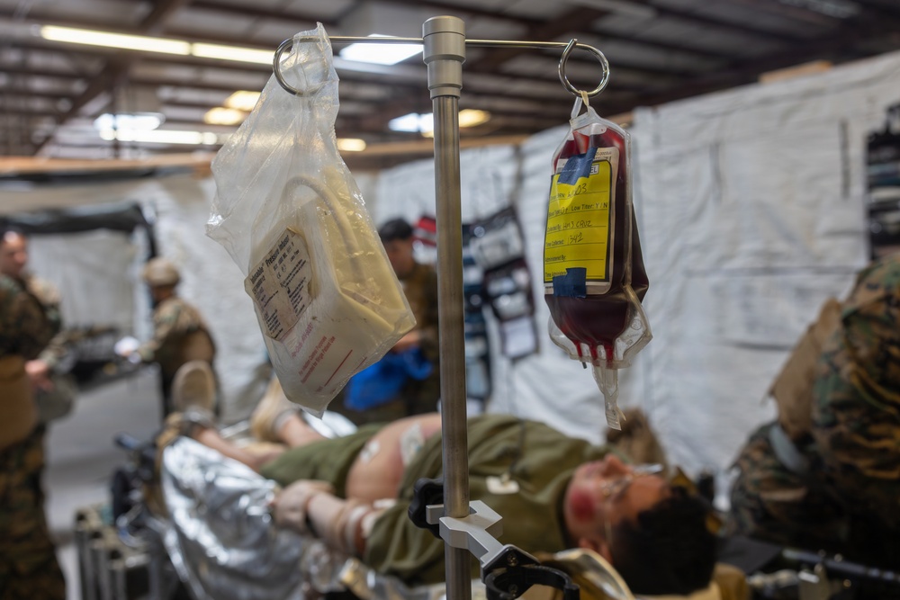 Tactical Triage: 1st Medical Battalion conducts certification exercise