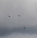 F-35A Demonstration Team at Hillsboro Airshow