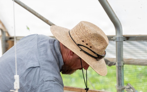 Earth's Echo Farm: Pasture-Raised Beef, Pigs And Poultry [Image 4 of 12]