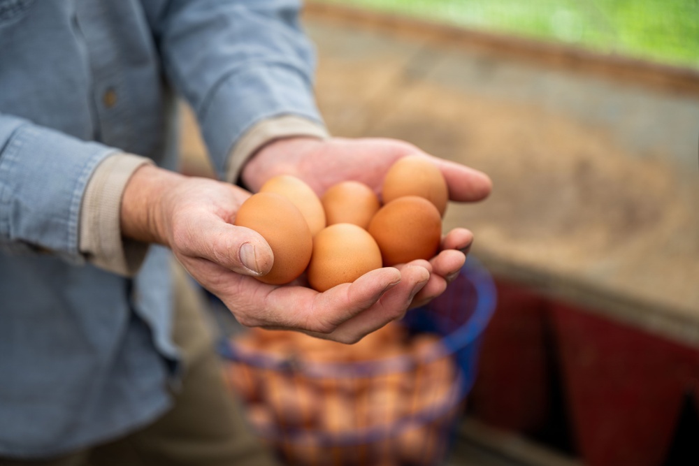 Earth's Echo Farm: Pasture-Raised Beef, Pigs And Poultry
