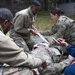 Joint forces complete tactical combat casualty care training