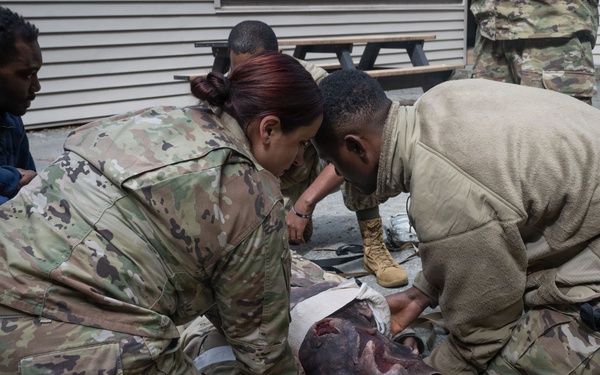 Joint forces complete tactical combat casualty care training