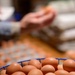 Earth's Echo Farm: Pasture-Raised Beef, Pigs And Poultry