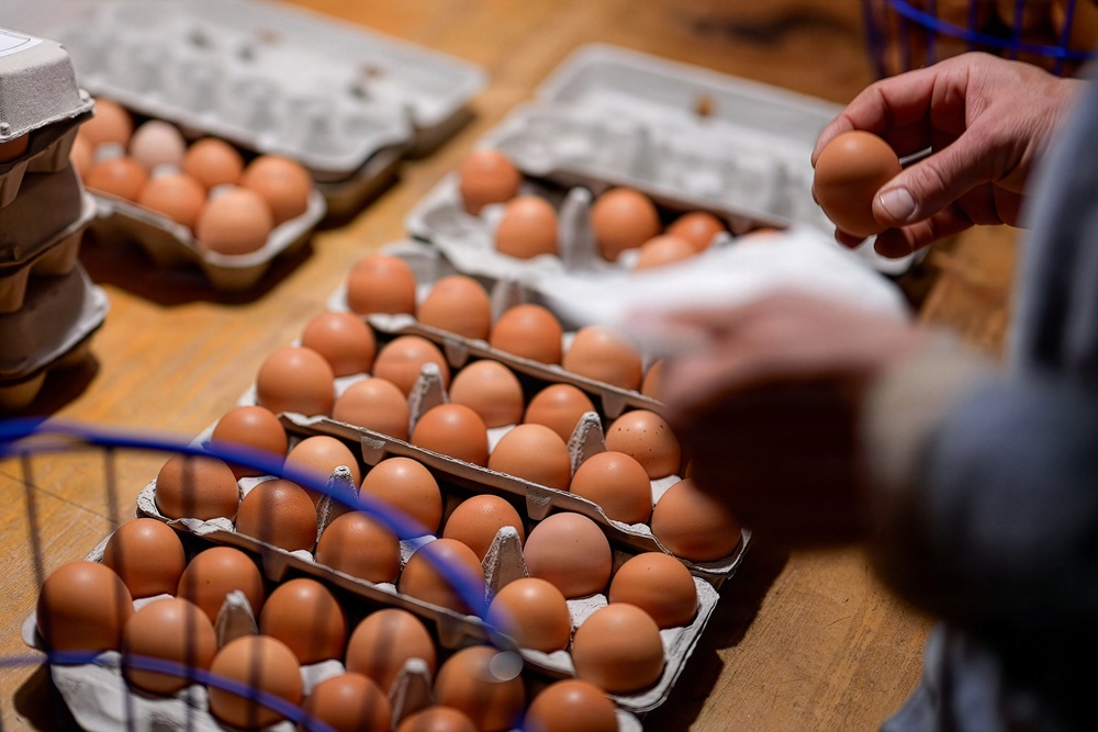 Earth's Echo Farm: Pasture-Raised Beef, Pigs And Poultry