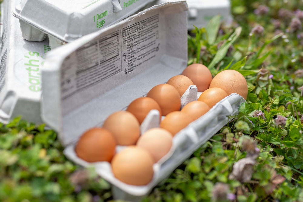 Earth's Echo Farm: Pasture-Raised Beef, Pigs And Poultry