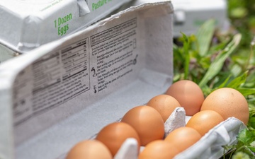 Earth's Echo Farm: Pasture-Raised Beef, Pigs And Poultry