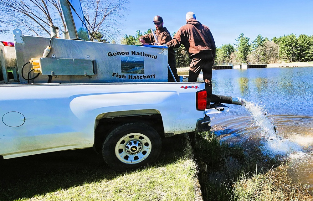 15,000 rainbow trout stocked at Fort McCoy in time for May 2026 fishing opener