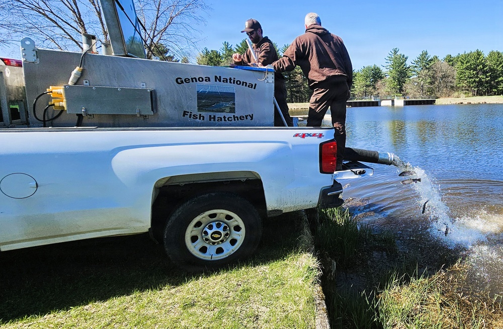 15,000 rainbow trout stocked at Fort McCoy in time for May 2026 fishing opener