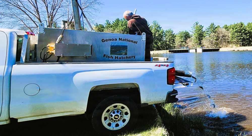 15,000 rainbow trout stocked at Fort McCoy in time for May 2026 fishing opener
