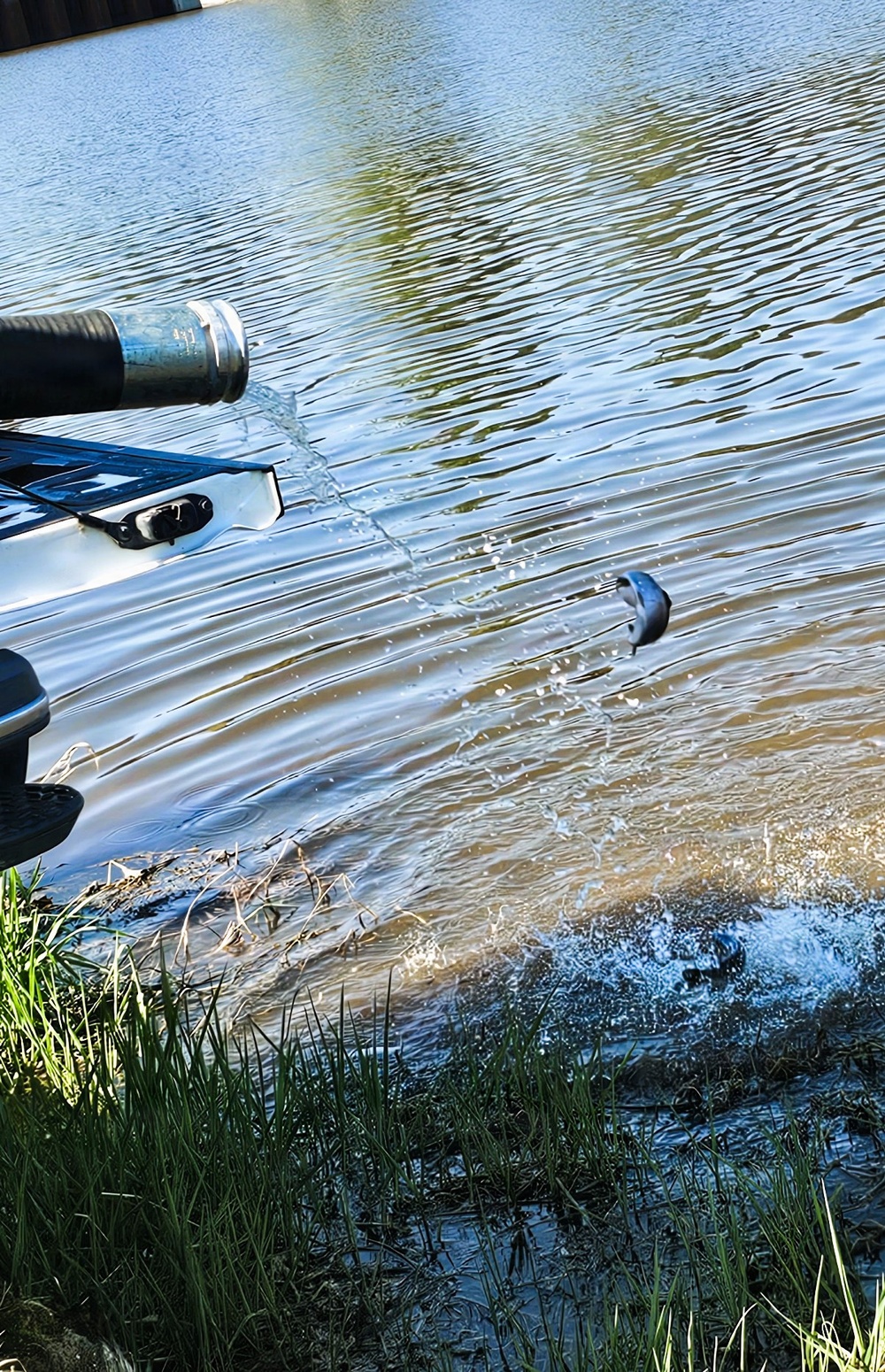 15,000 rainbow trout stocked at Fort McCoy in time for May 2026 fishing opener
