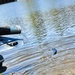 15,000 rainbow trout stocked at Fort McCoy in time for May 2026 fishing opener