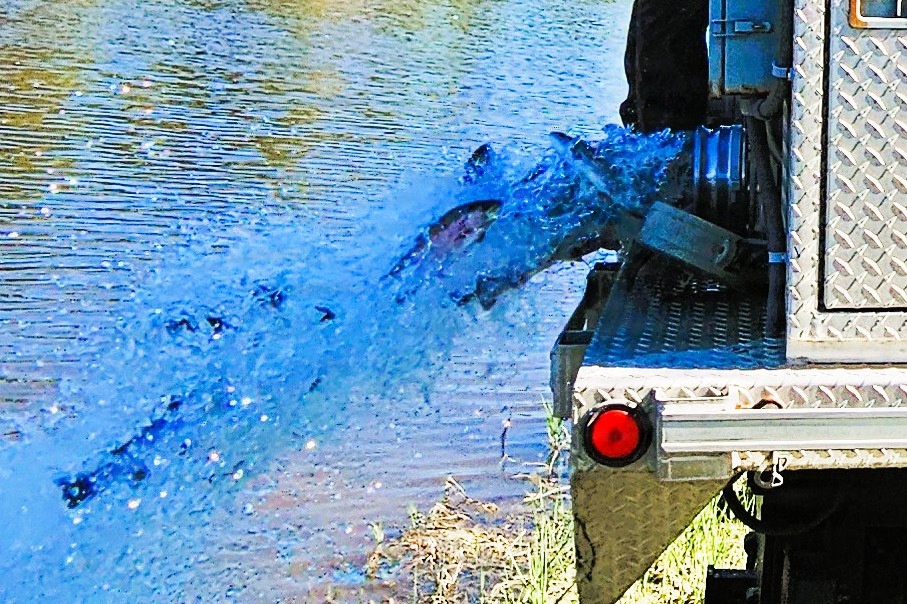 15,000 rainbow trout stocked at Fort McCoy in time for May 2026 fishing opener
