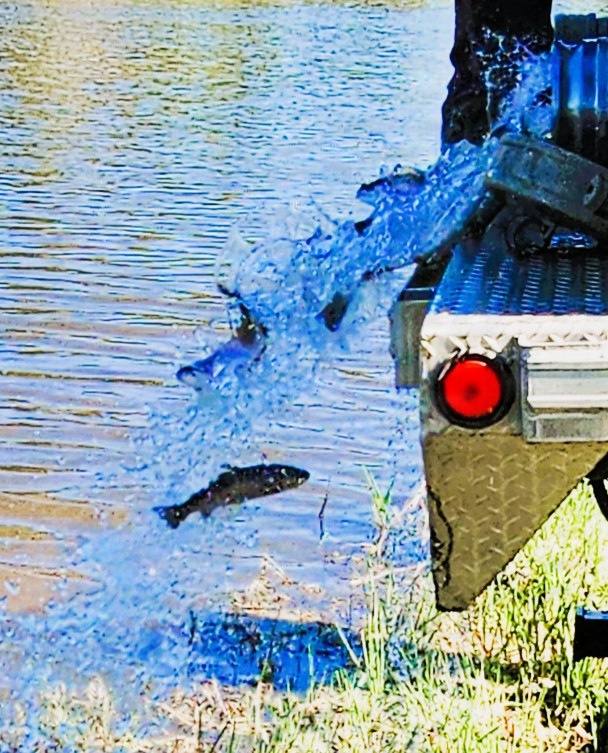 15,000 rainbow trout stocked at Fort McCoy in time for May 2026 fishing opener