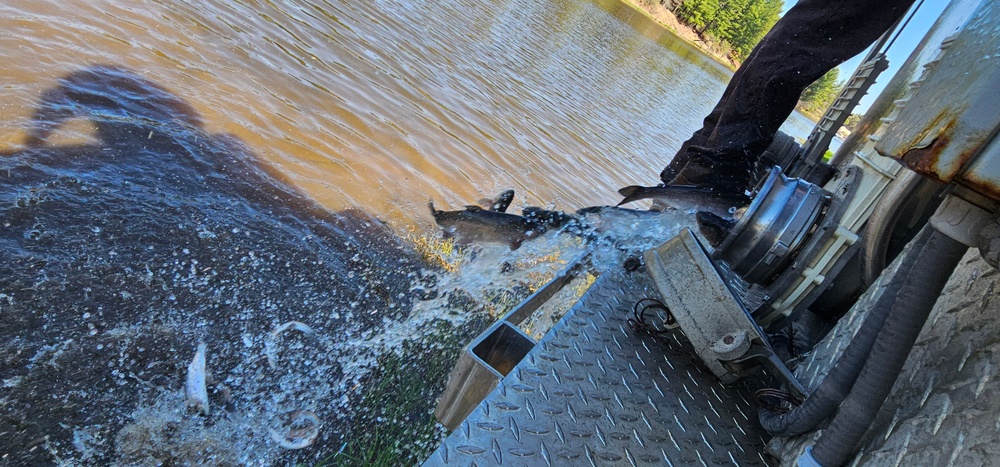 15,000 rainbow trout stocked at Fort McCoy in time for May 2026 fishing opener