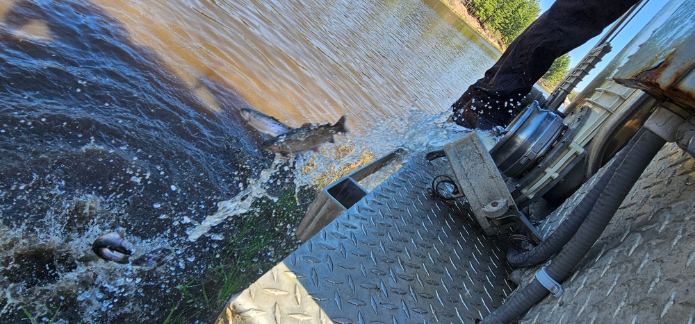 15,000 rainbow trout stocked at Fort McCoy in time for May 2026 fishing opener
