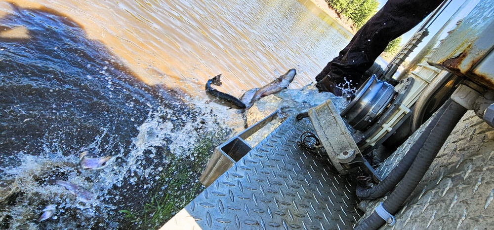 15,000 rainbow trout stocked at Fort McCoy in time for May 2026 fishing opener