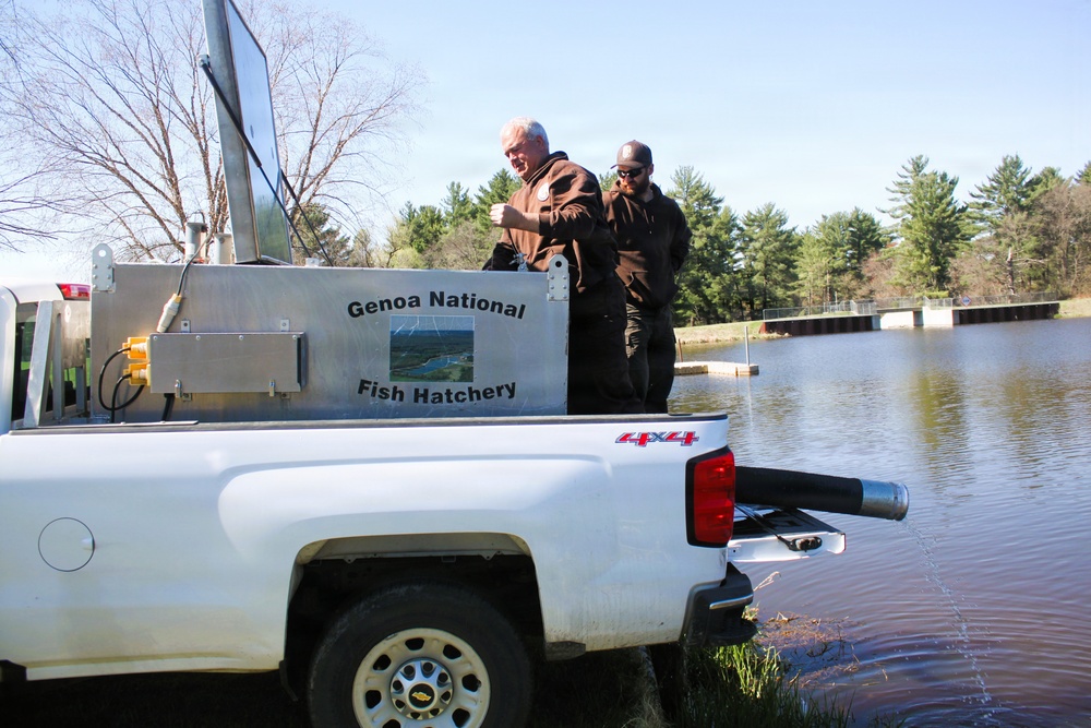 15,000 rainbow trout stocked at Fort McCoy in time for May 2026 fishing opener