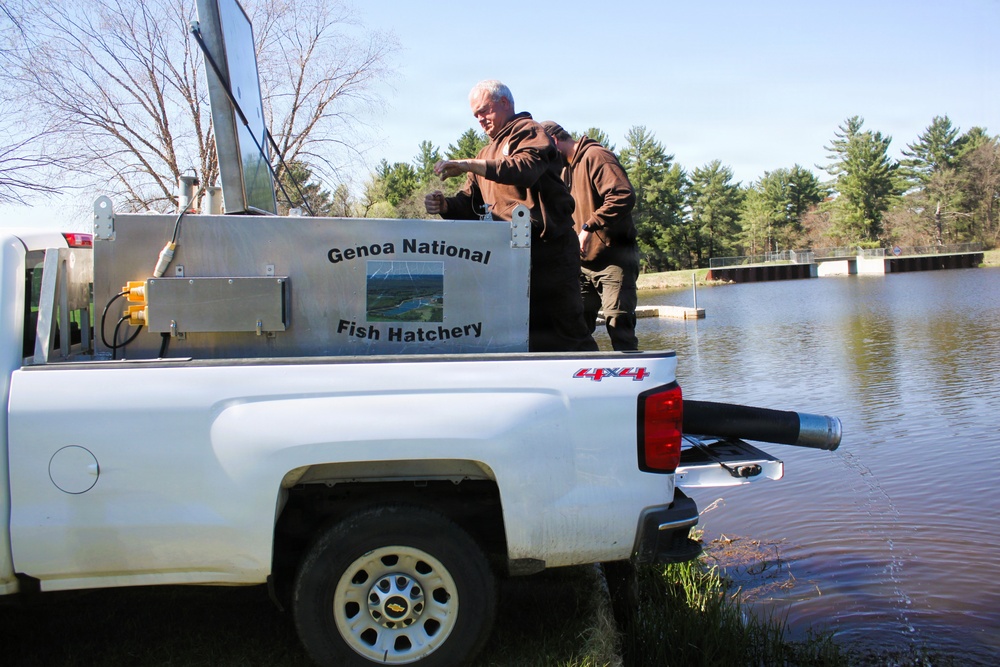 15,000 rainbow trout stocked at Fort McCoy in time for May 2026 fishing opener