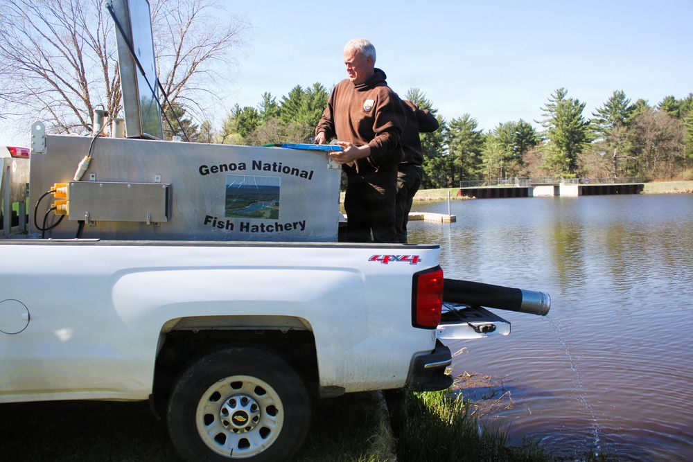 15,000 rainbow trout stocked at Fort McCoy in time for May 2026 fishing opener