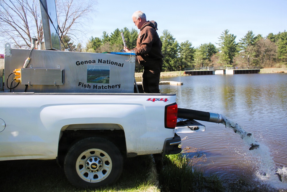 15,000 rainbow trout stocked at Fort McCoy in time for May 2026 fishing opener