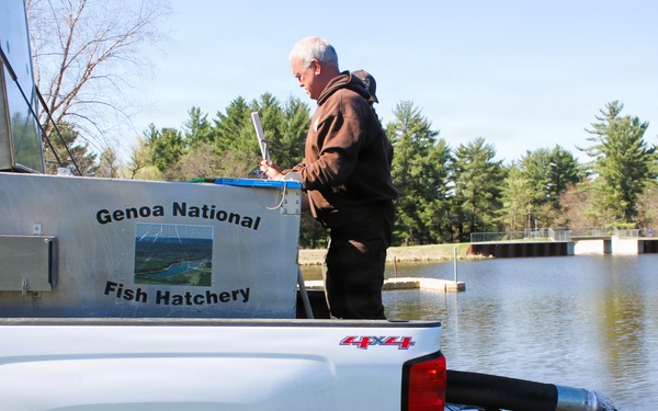 15,000 rainbow trout stocked at Fort McCoy in time for May 2026 fishing opener