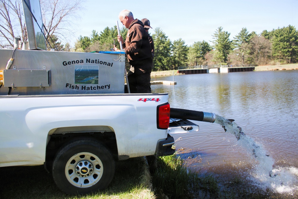 15,000 rainbow trout stocked at Fort McCoy in time for May 2026 fishing opener