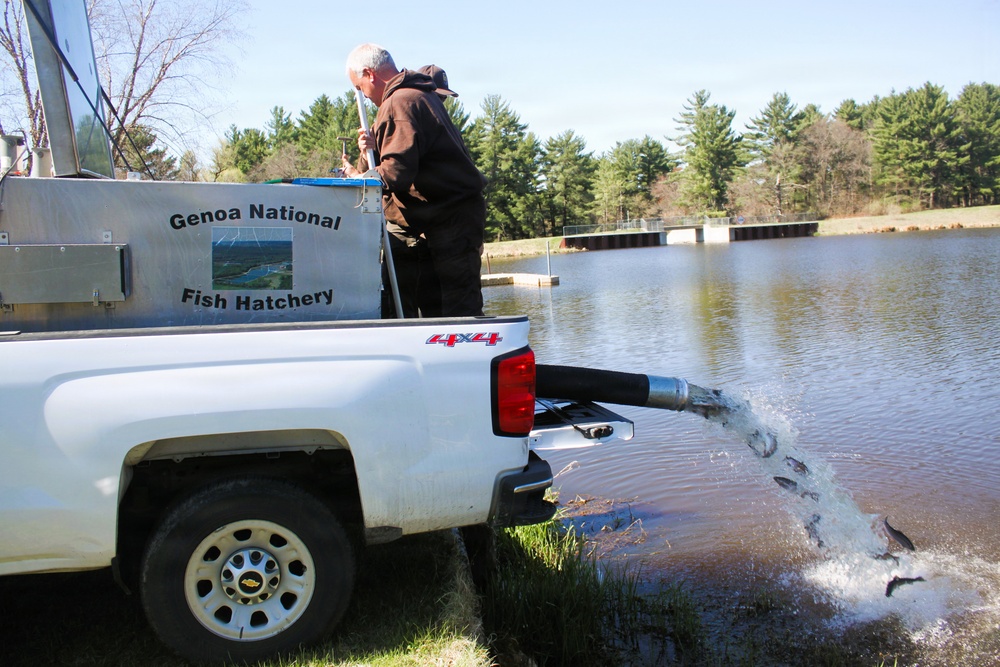 15,000 rainbow trout stocked at Fort McCoy in time for May 2026 fishing opener