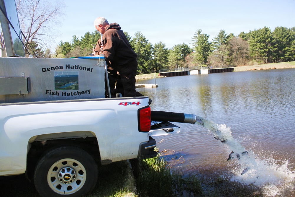 15,000 rainbow trout stocked at Fort McCoy in time for May 2026 fishing opener