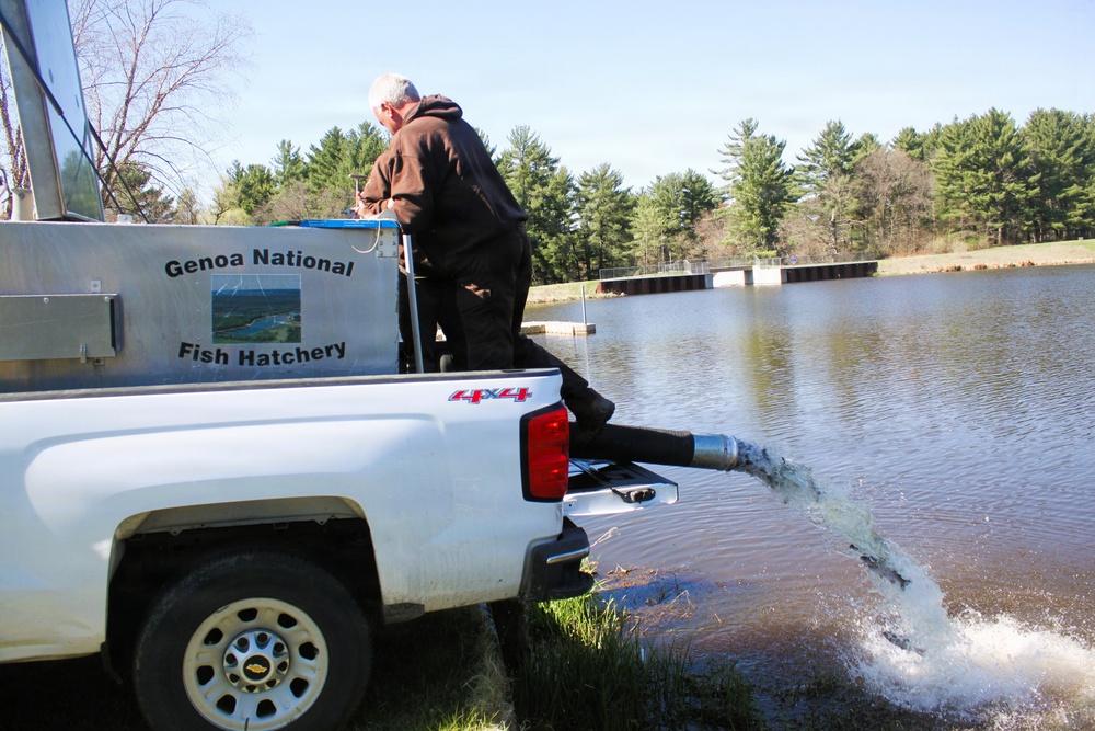15,000 rainbow trout stocked at Fort McCoy in time for May 2026 fishing opener