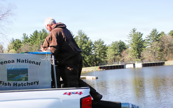 15,000 rainbow trout stocked at Fort McCoy in time for May 2026 fishing opener