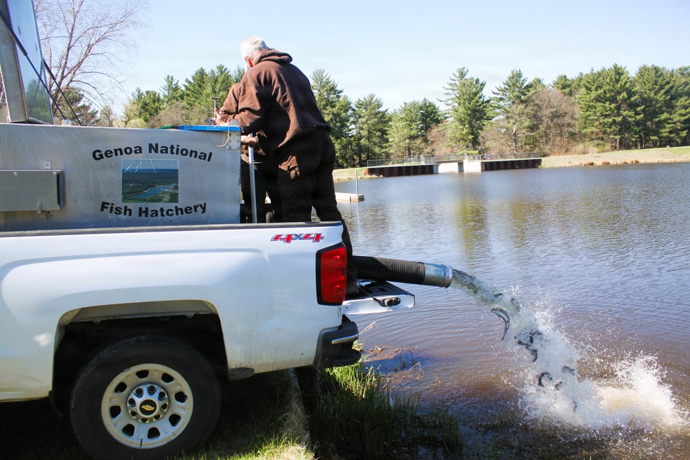 15,000 rainbow trout stocked at Fort McCoy in time for May 2026 fishing opener