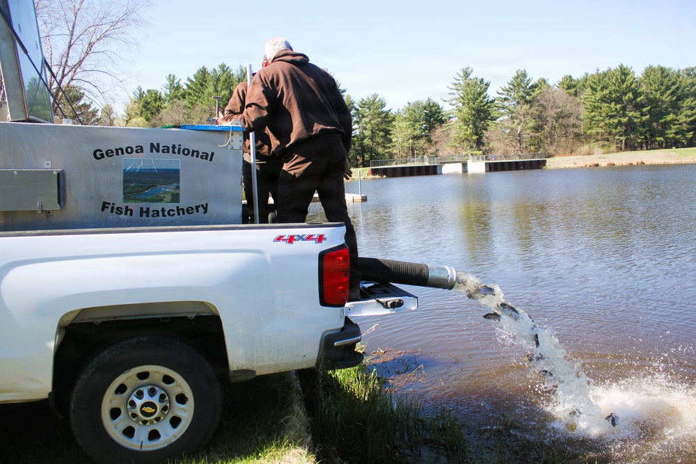 15,000 rainbow trout stocked at Fort McCoy in time for May 2026 fishing opener