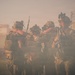3rd Special Forces Group (Airborne) Conducts Live-Fire Exercise