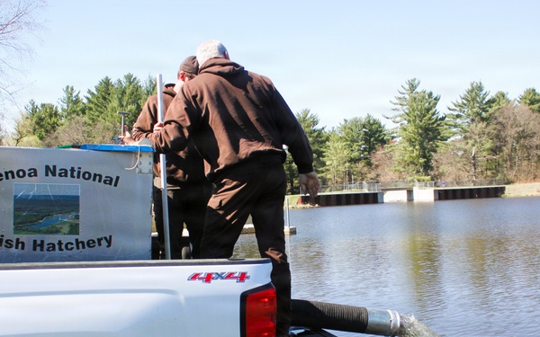 15,000 rainbow trout stocked at Fort McCoy in time for May 2026 fishing opener