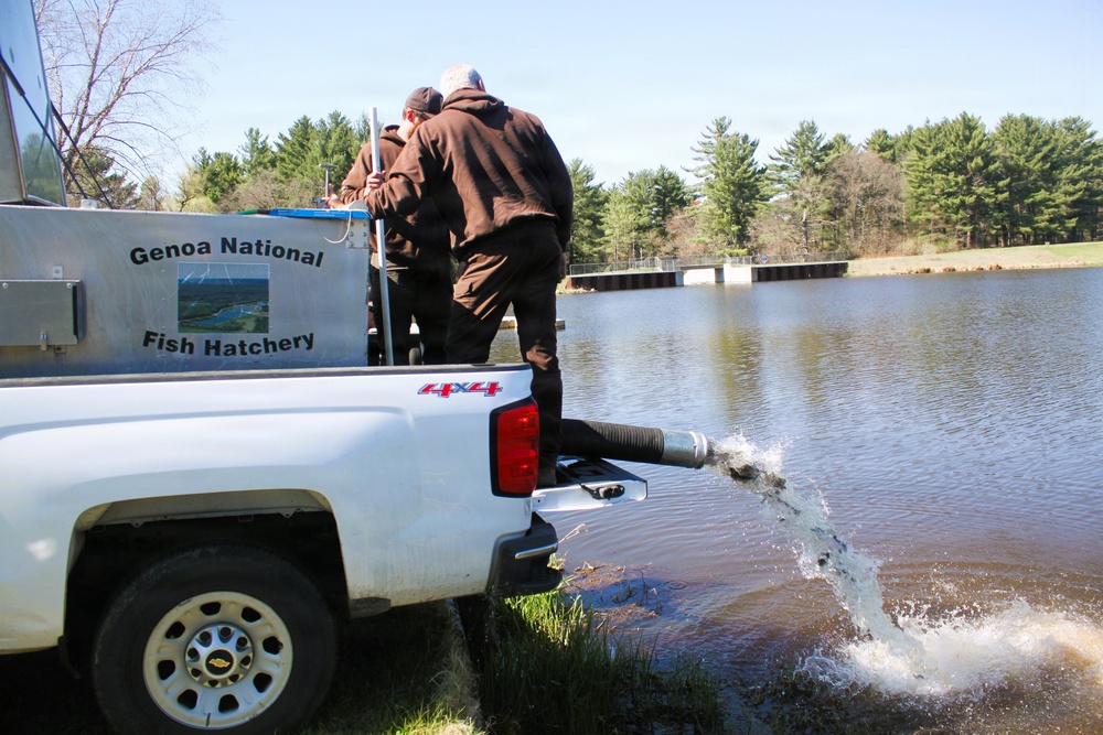 15,000 rainbow trout stocked at Fort McCoy in time for May 2026 fishing opener