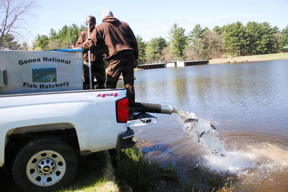 15,000 rainbow trout stocked at Fort McCoy in time for May 2026 fishing opener