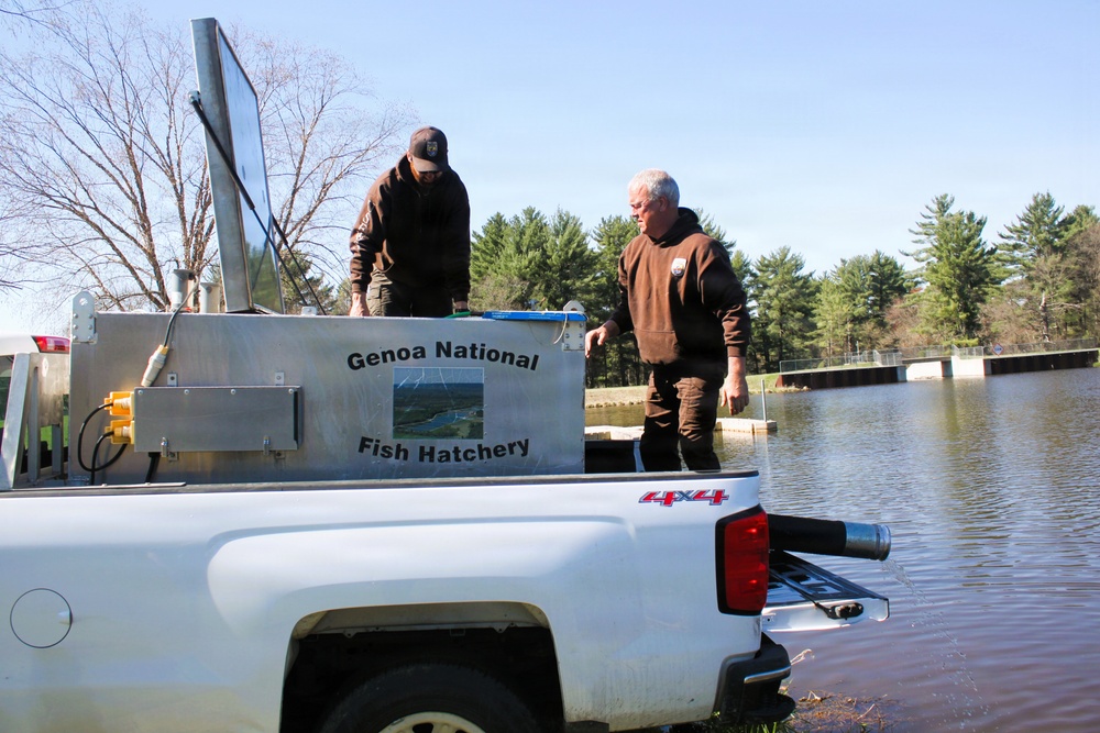 15,000 rainbow trout stocked at Fort McCoy in time for May 2026 fishing opener
