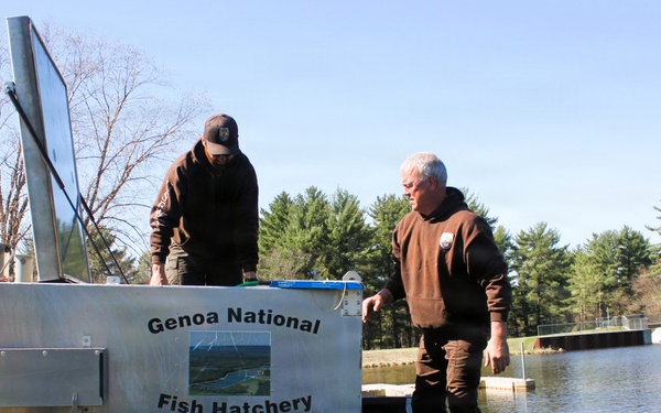 15,000 rainbow trout stocked at Fort McCoy in time for May 2026 fishing opener