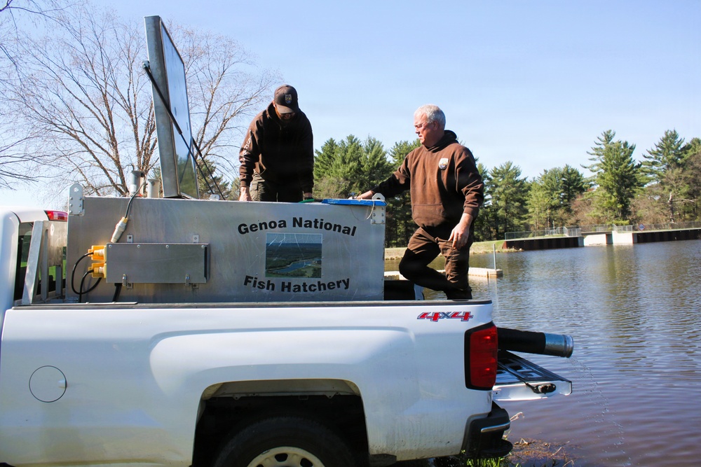 15,000 rainbow trout stocked at Fort McCoy in time for May 2026 fishing opener