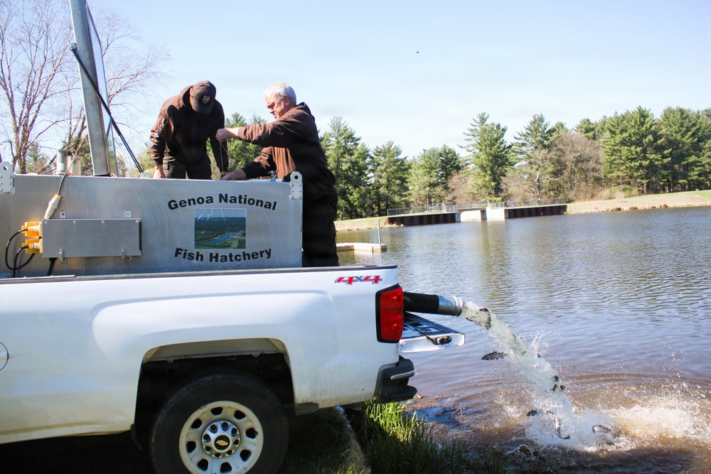 15,000 rainbow trout stocked at Fort McCoy in time for May 2026 fishing opener