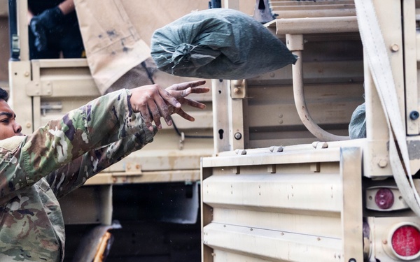 DIVARTY Ranger Physical Assessment