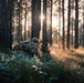 3rd Special Forces Group (Airborne) Conducts Live-Fire Exercise