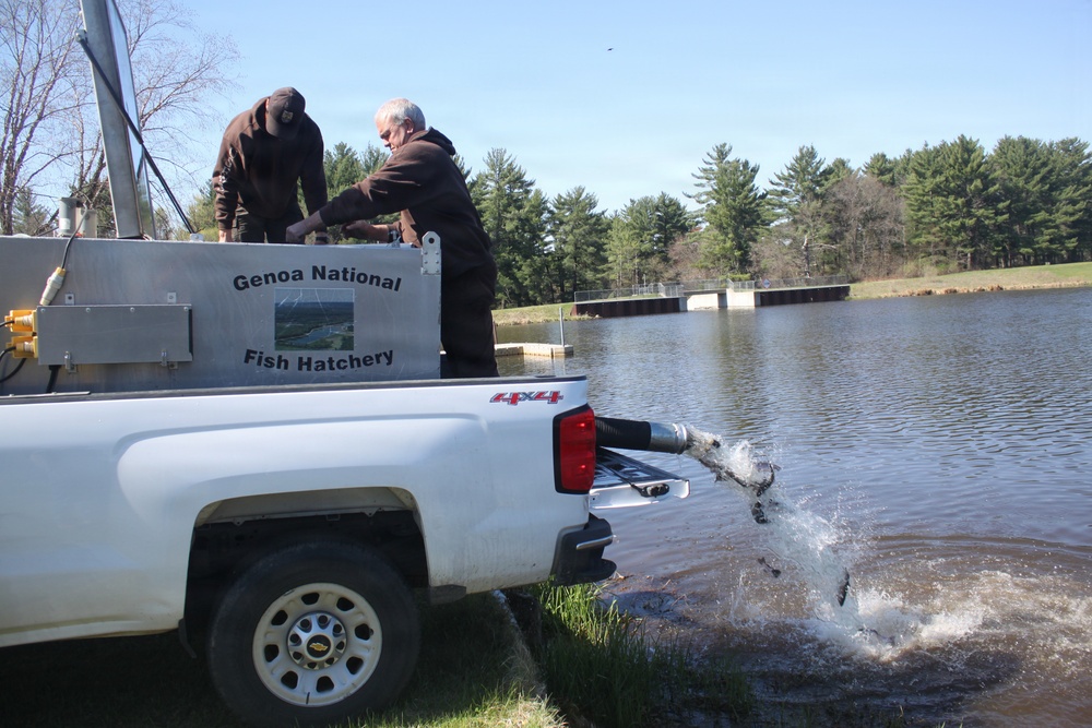 15,000 rainbow trout stocked at Fort McCoy in time for May 2026 fishing opener