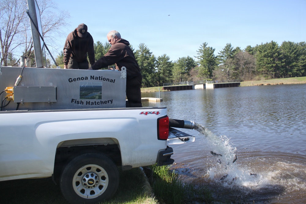 15,000 rainbow trout stocked at Fort McCoy in time for May 2026 fishing opener