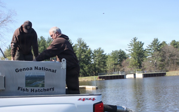 15,000 rainbow trout stocked at Fort McCoy in time for May 2026 fishing opener
